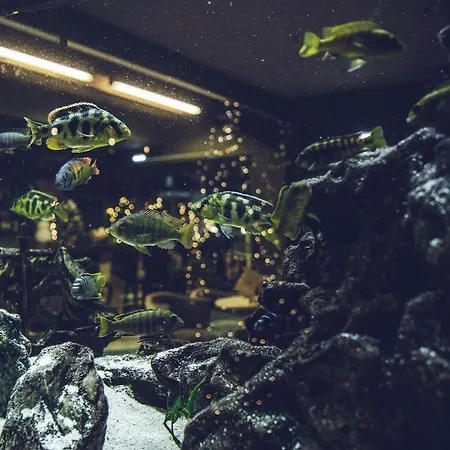 Platamon Centrale Szálloda