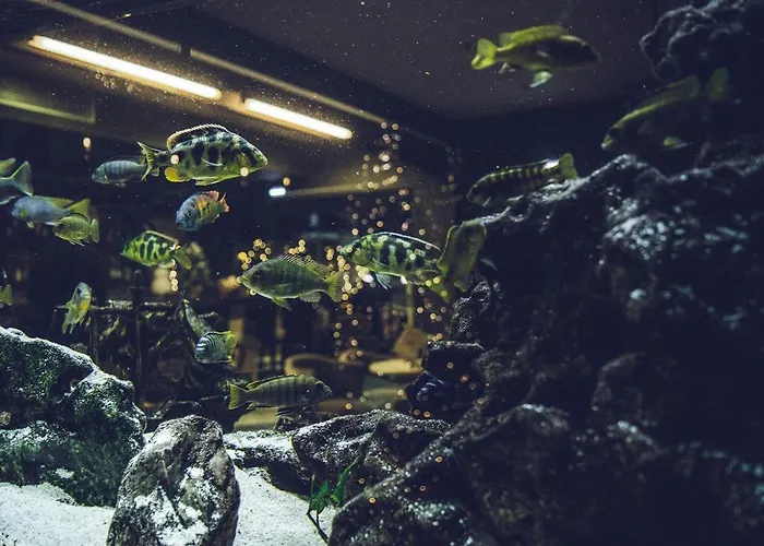 Platamon Centrale Hotel